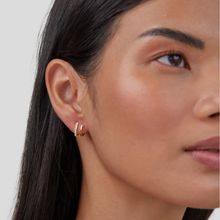 Clara | Claw Gold & Crystal Earrings